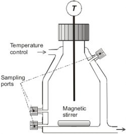 Schematic diagram of the liquid-liquid equilibrium cell with sampling ports for both liquid phases