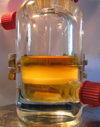 Multi phase liquid-liquid equilibrium in glass cell